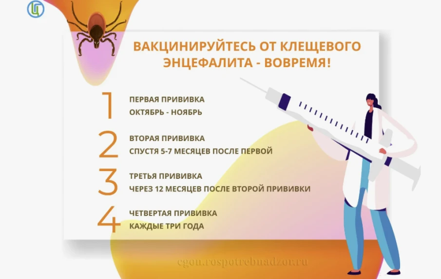 Лучшая защита от клещевого энцефалита – это прививка